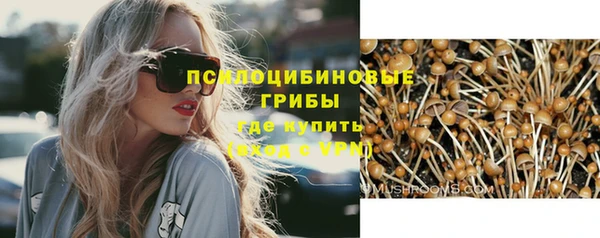 трава Наволоки